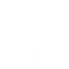 www.essendoncc.co.uk